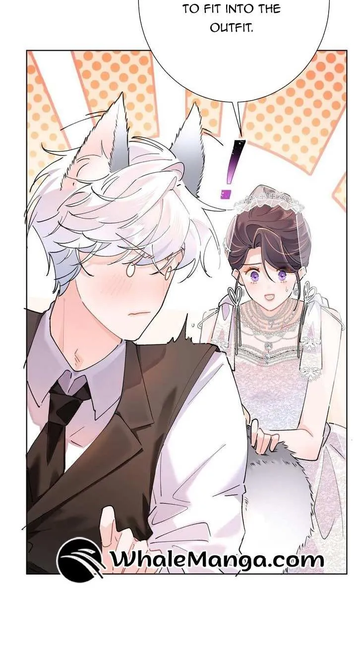 Her Marriage Was Called Off at Daytime, the Cutely Fierce Commander Asked Her For a Hug at Night Chapter 3 page 19 - 