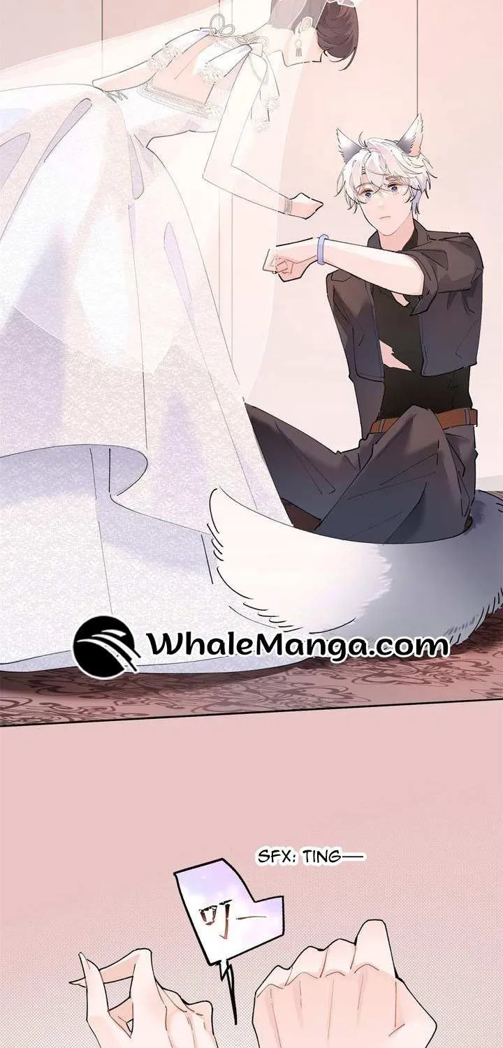 Her Marriage Was Called Off at Daytime, the Cutely Fierce Commander Asked Her For a Hug at Night Chapter 3 page 5 - 