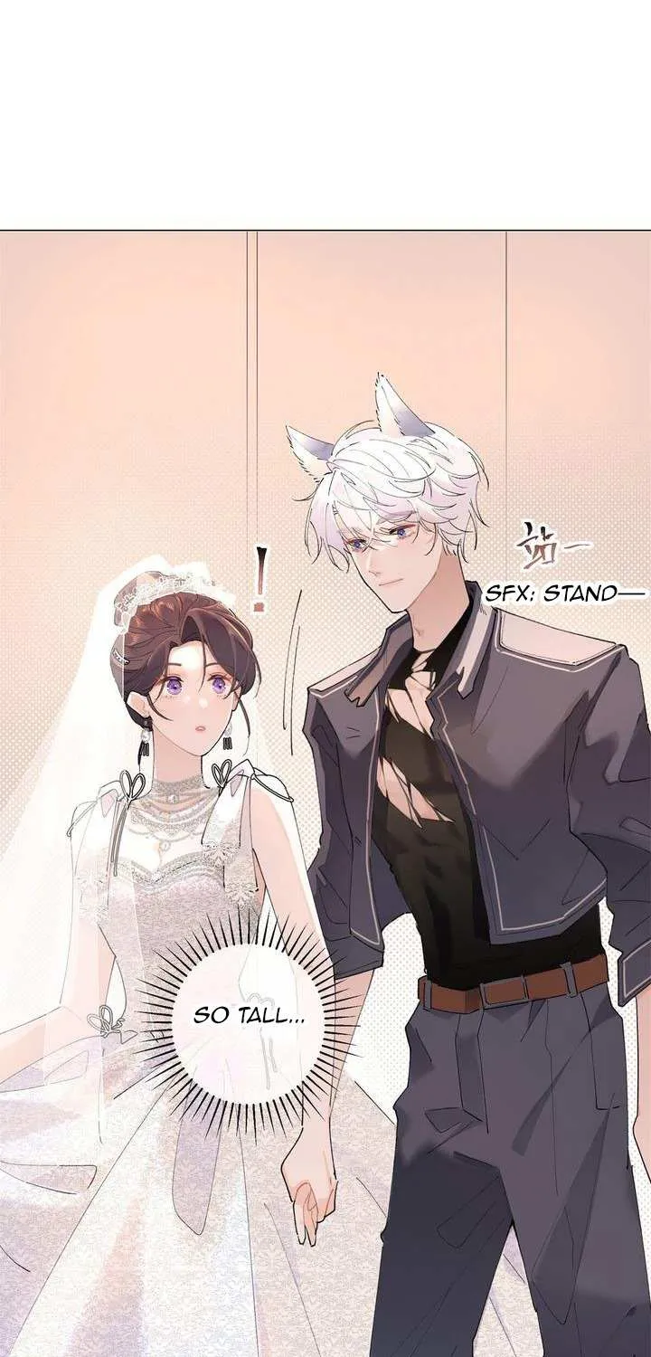 Her Marriage Was Called Off at Daytime, the Cutely Fierce Commander Asked Her For a Hug at Night Chapter 3 page 10 - 