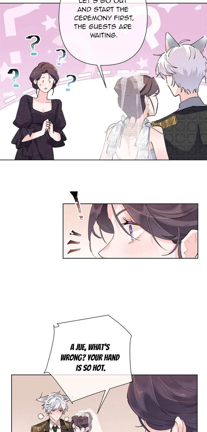 Her Marriage Was Called Off at Daytime, the Cutely Fierce Commander Asked Her For a Hug at Night Chapter 4 page 12 - 