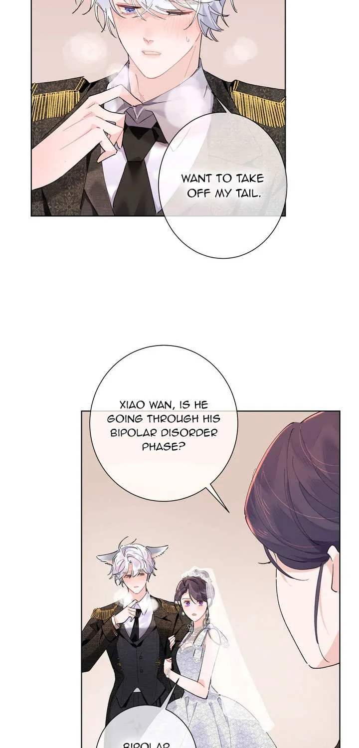 Her Marriage Was Called Off at Daytime, the Cutely Fierce Commander Asked Her For a Hug at Night Chapter 4 page 14 - 