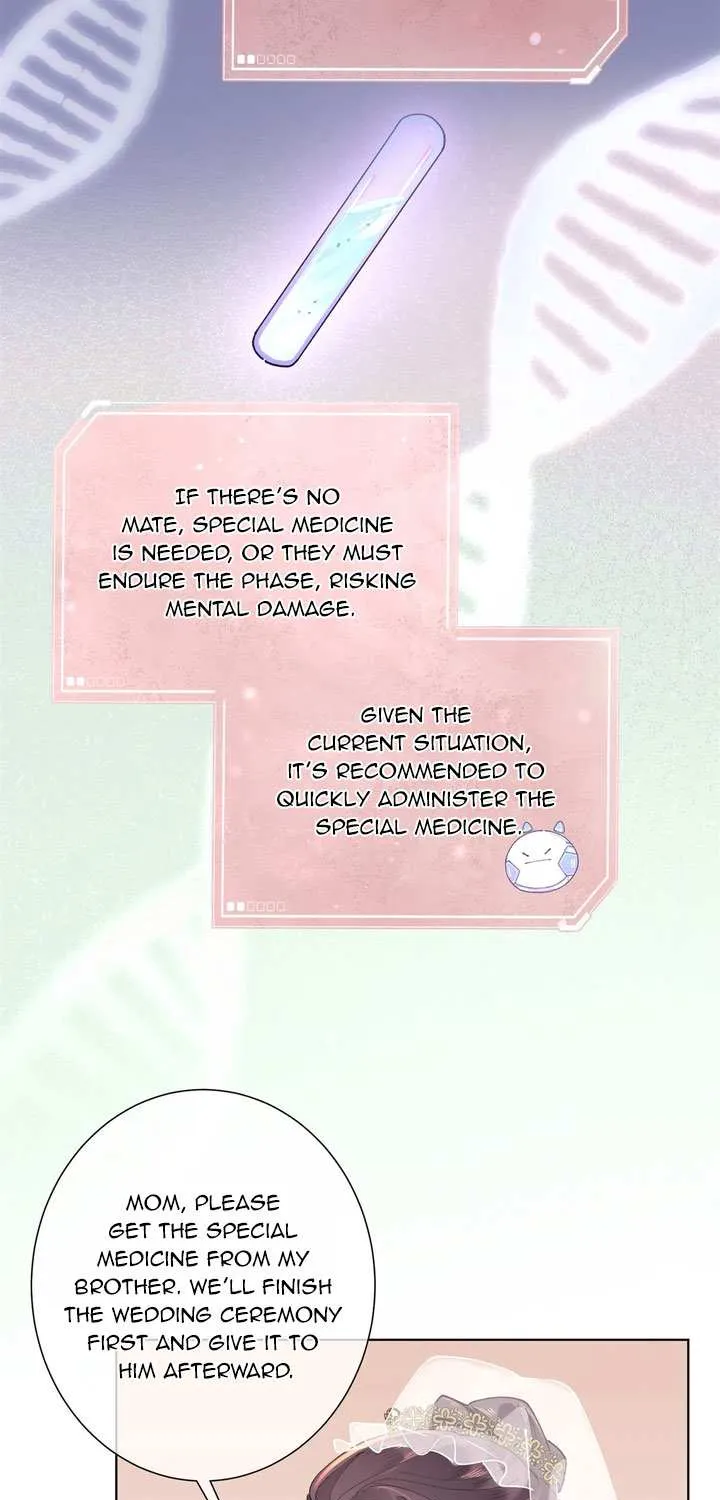 Her Marriage Was Called Off at Daytime, the Cutely Fierce Commander Asked Her For a Hug at Night Chapter 4 page 19 - 