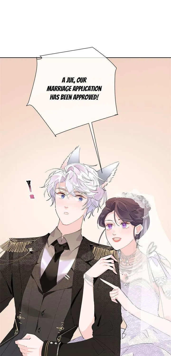 Her Marriage Was Called Off at Daytime, the Cutely Fierce Commander Asked Her For a Hug at Night Chapter 4 page 6 - 