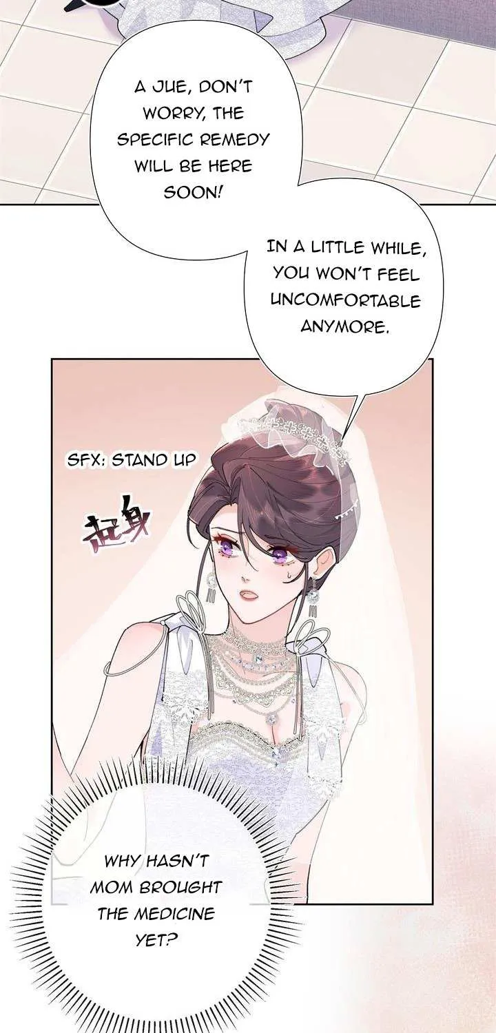 Her Marriage Was Called Off at Daytime, the Cutely Fierce Commander Asked Her For a Hug at Night Chapter 5 page 5 - 