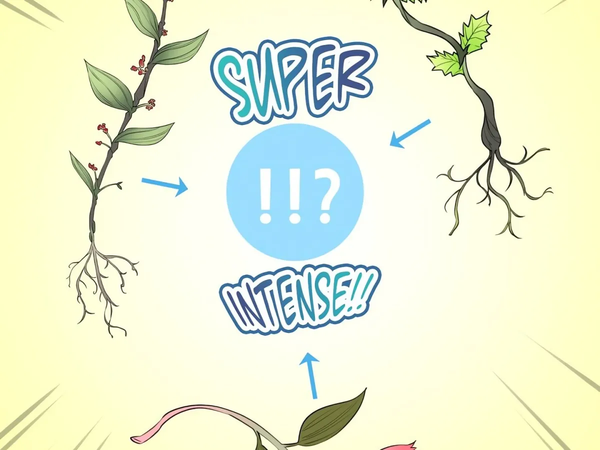 Herbal Batthouse Tales Chapter 44 page 11 - 