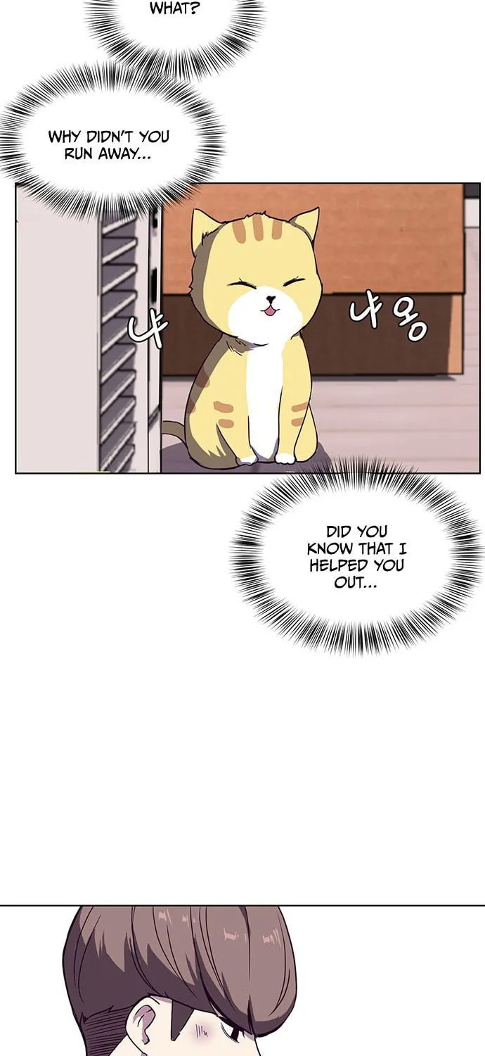 Hero Ticket Chapter 1 page 91 - 