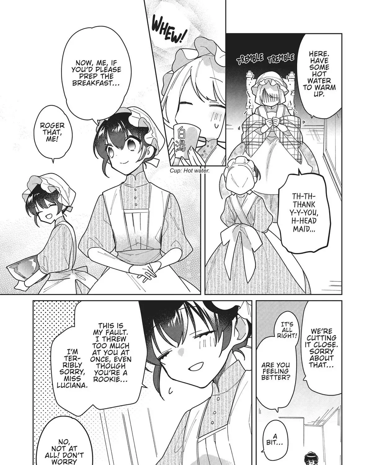 Heroine? Seijo? Iie, All-Works Maid desu (ko)! Chapter 15 page 41 - 