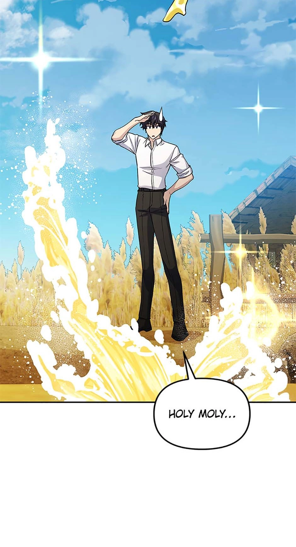 Hero