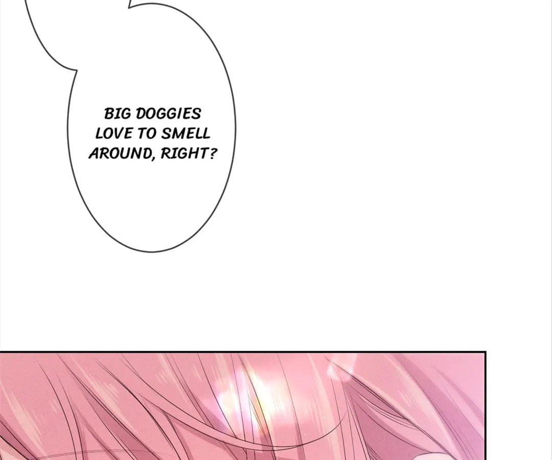 Hey, Mr Secret (Colored) Chapter 77 page 4 - 
