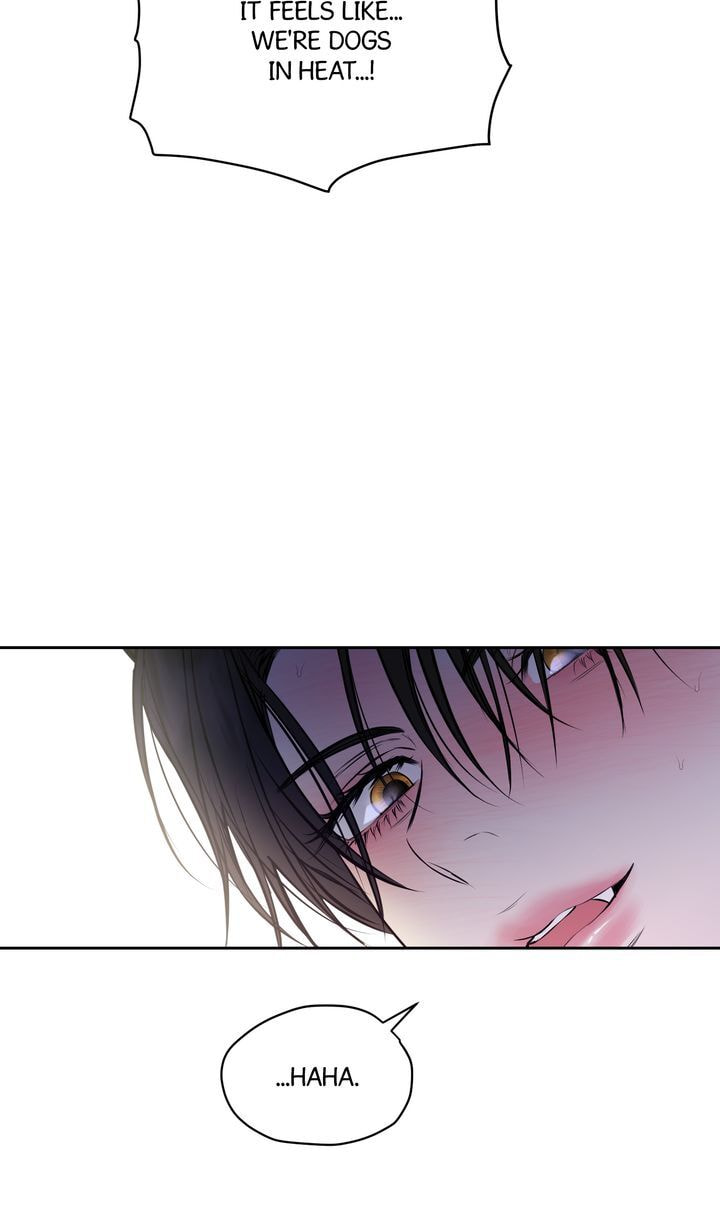 Hidden Sun Chapter 27 page 43 - 