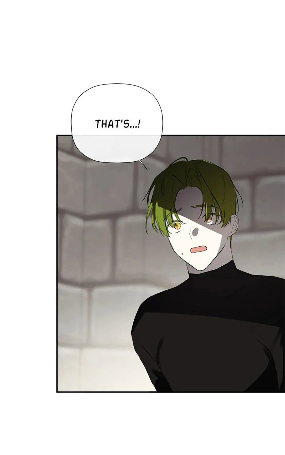 Hiding My True Self Chapter 74 page 75 - 