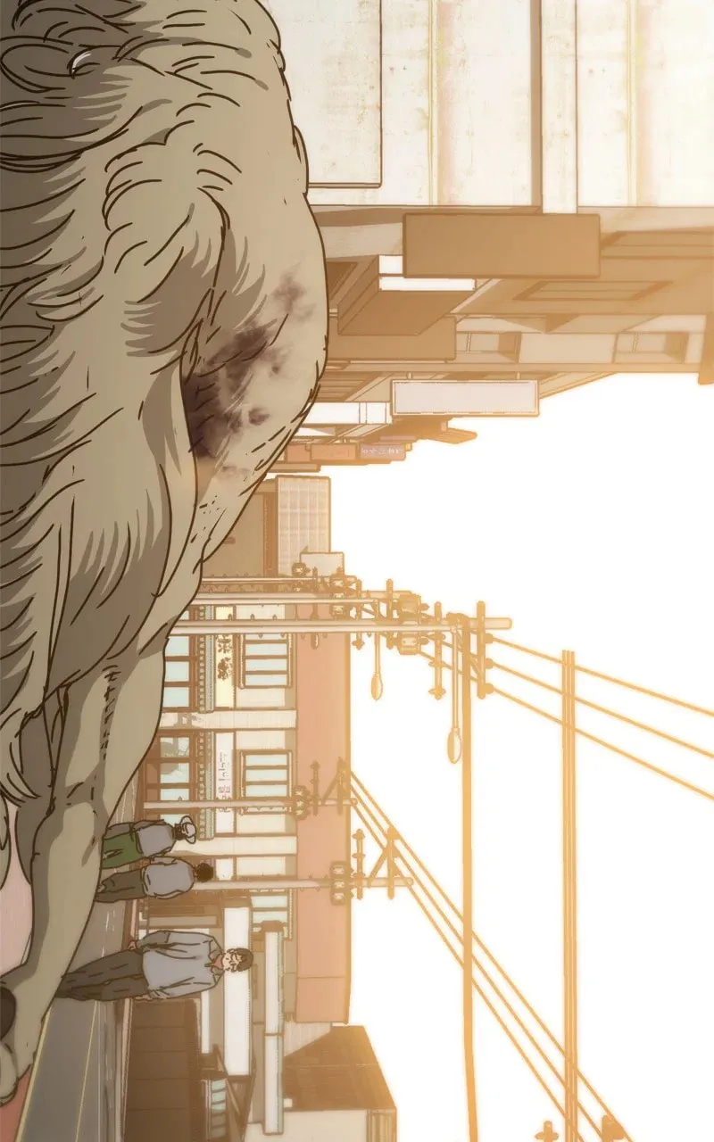 Hiding Out in an Apocalypse Chapter 40 page 113 - 