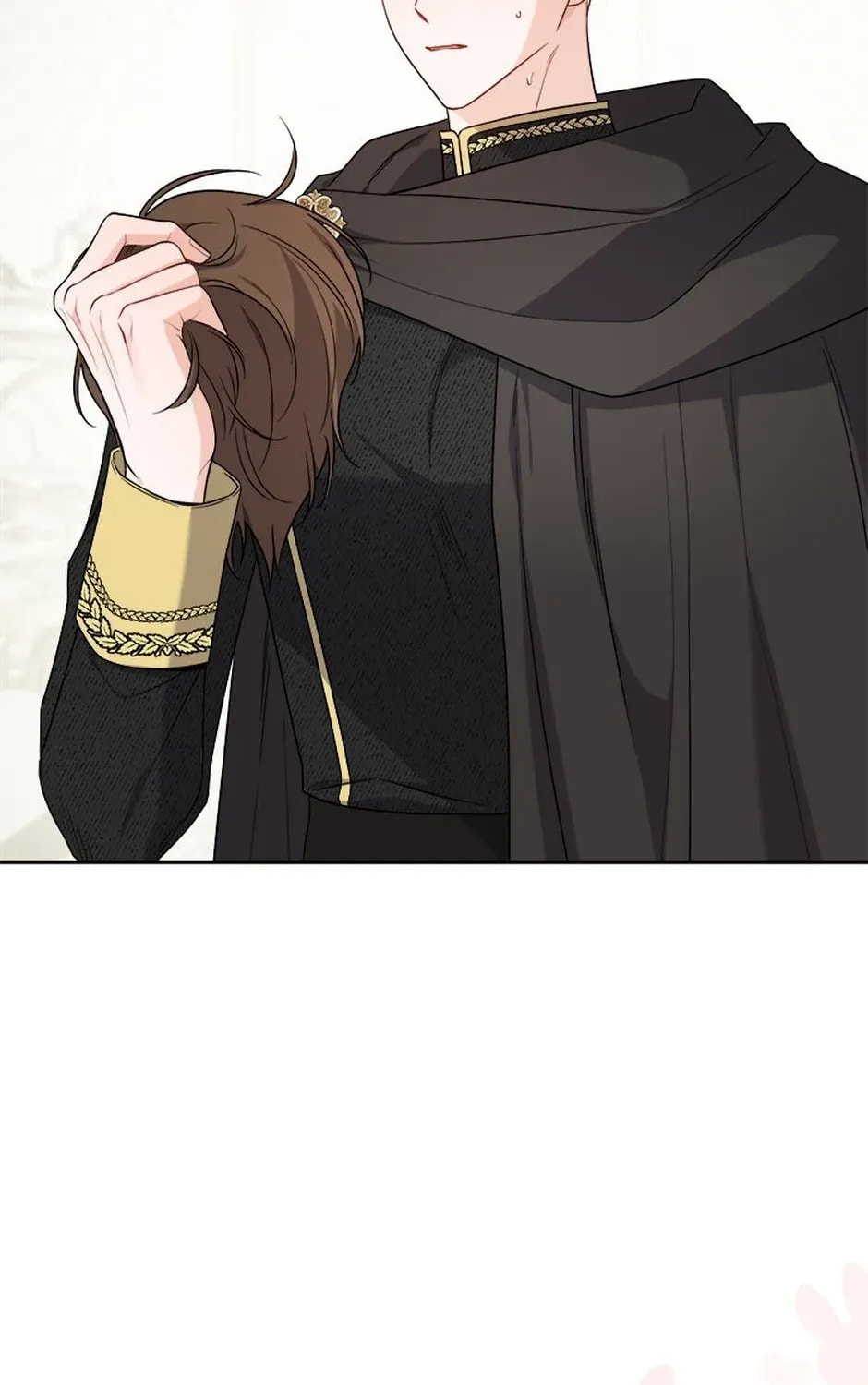 Hiding the Archduke