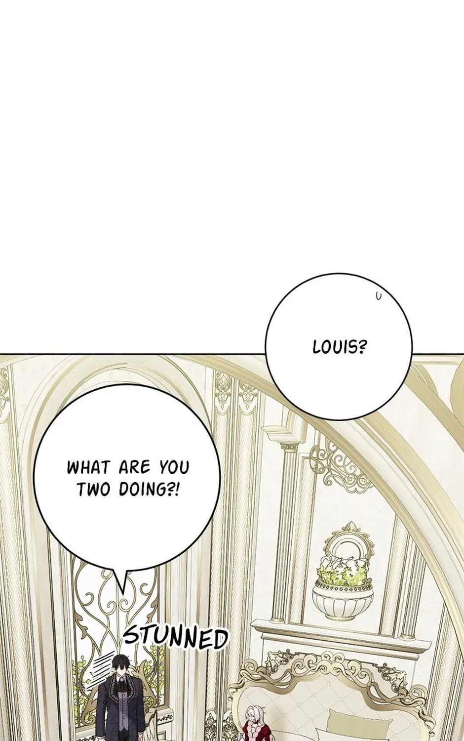 Hiding the Archduke