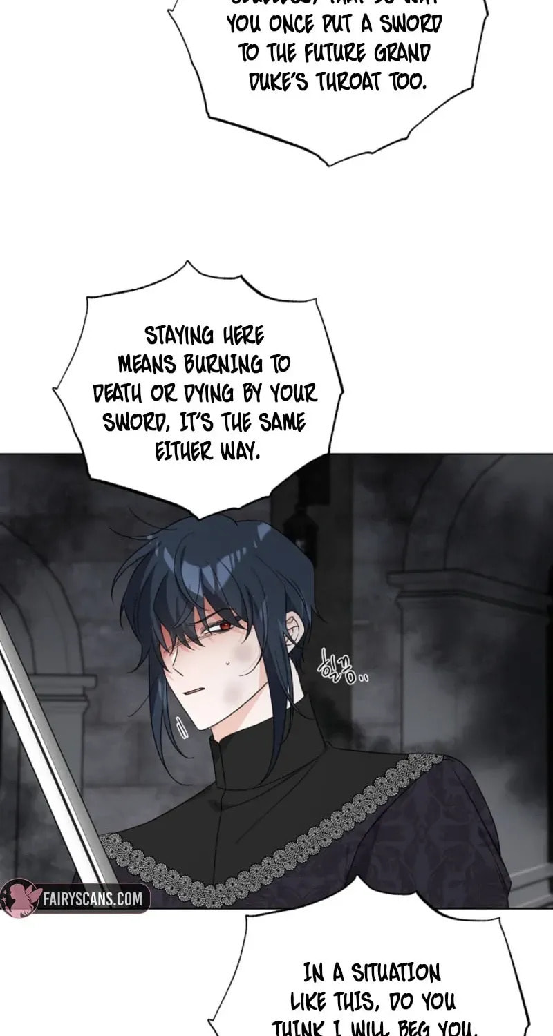 Hiding the Archduke