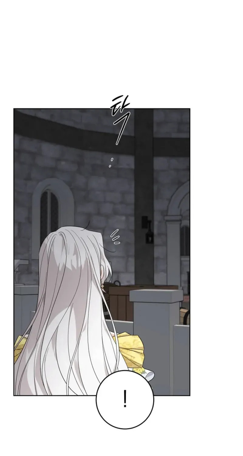 Hiding the Archduke