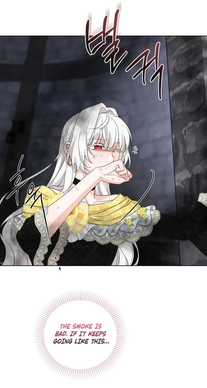 Hiding the Archduke