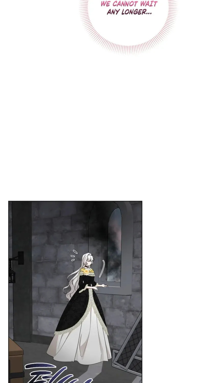Hiding the Archduke