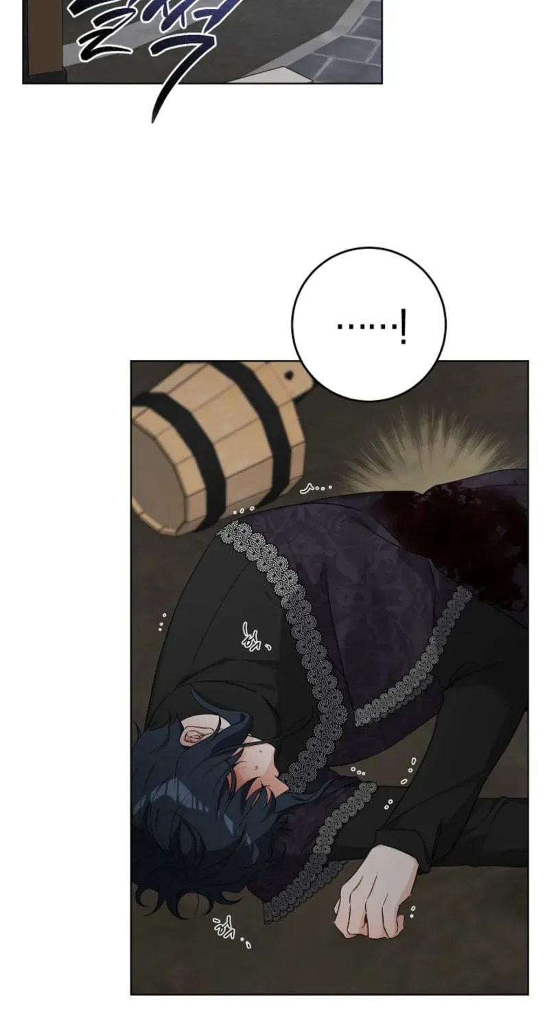 Hiding the Archduke
