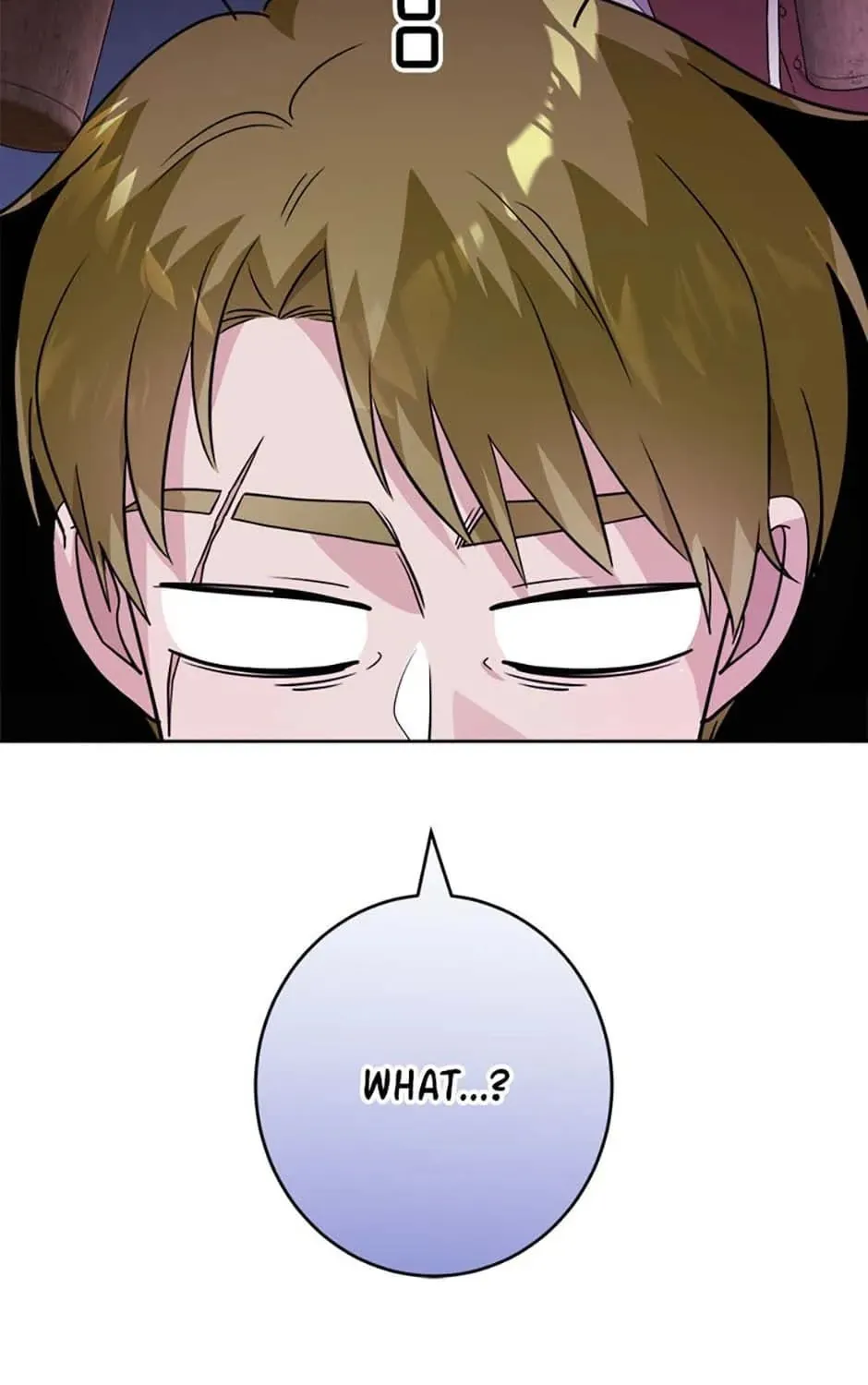 Hiding the Archduke