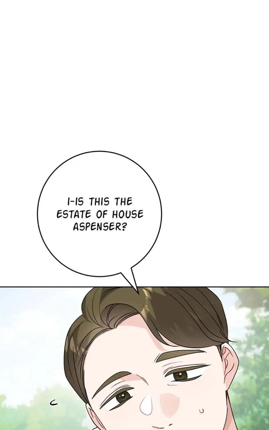 Hiding the Archduke