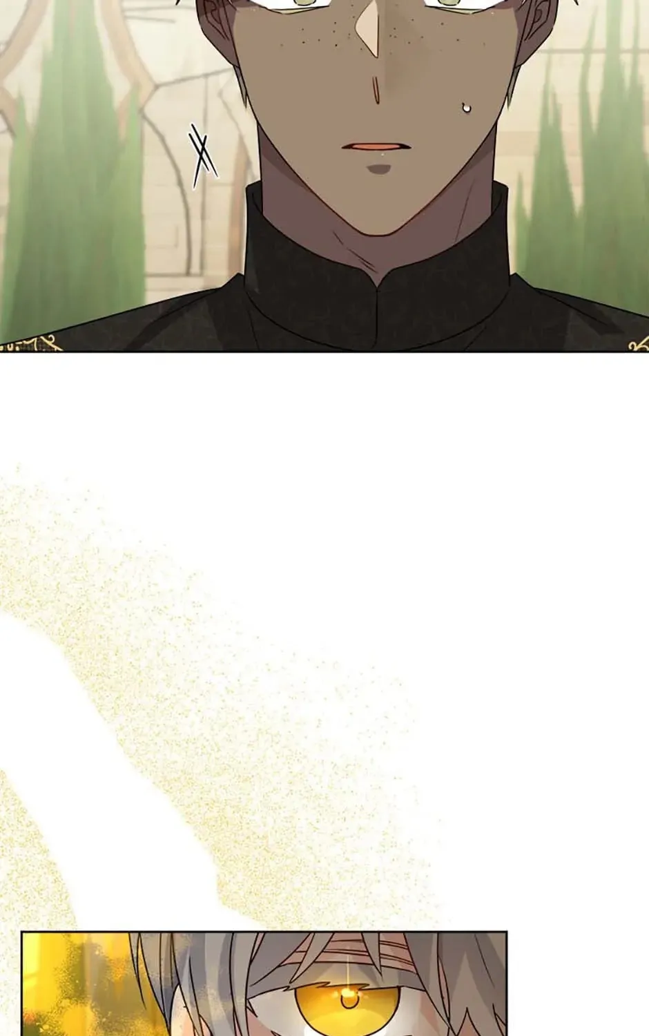 Hiding the Archduke