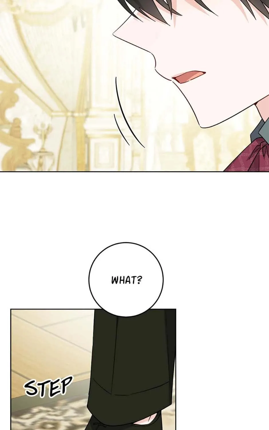 Hiding the Archduke