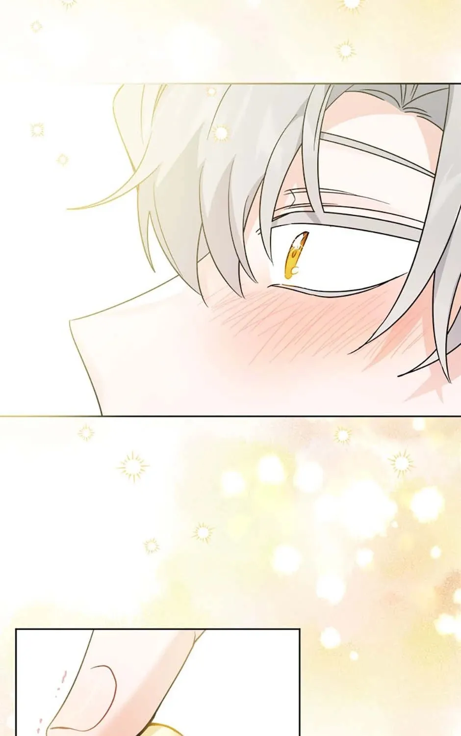 Hiding the Archduke
