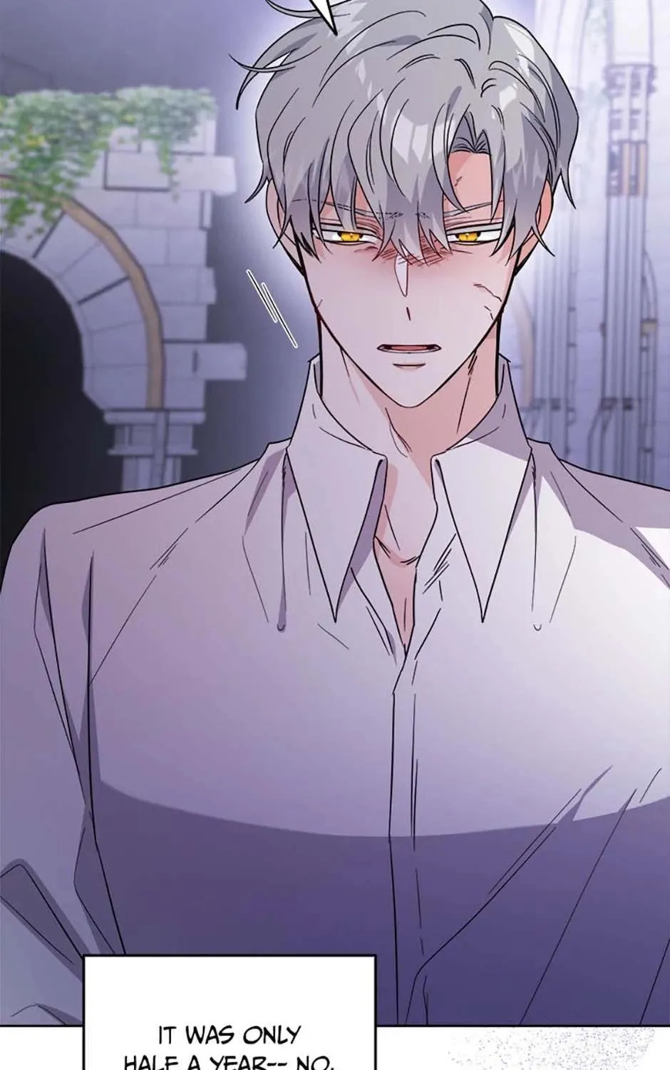 Hiding the Archduke