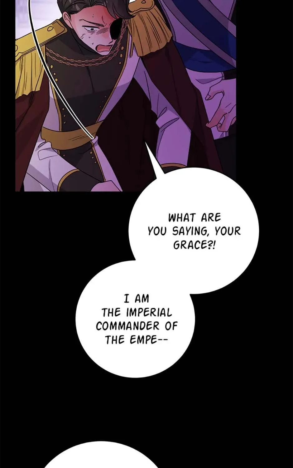 Hiding the Archduke