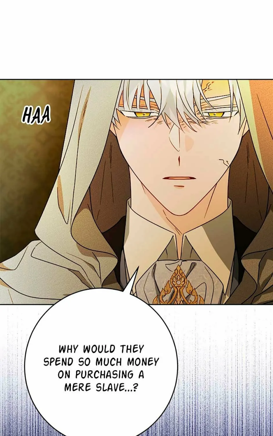 Hiding the Archduke