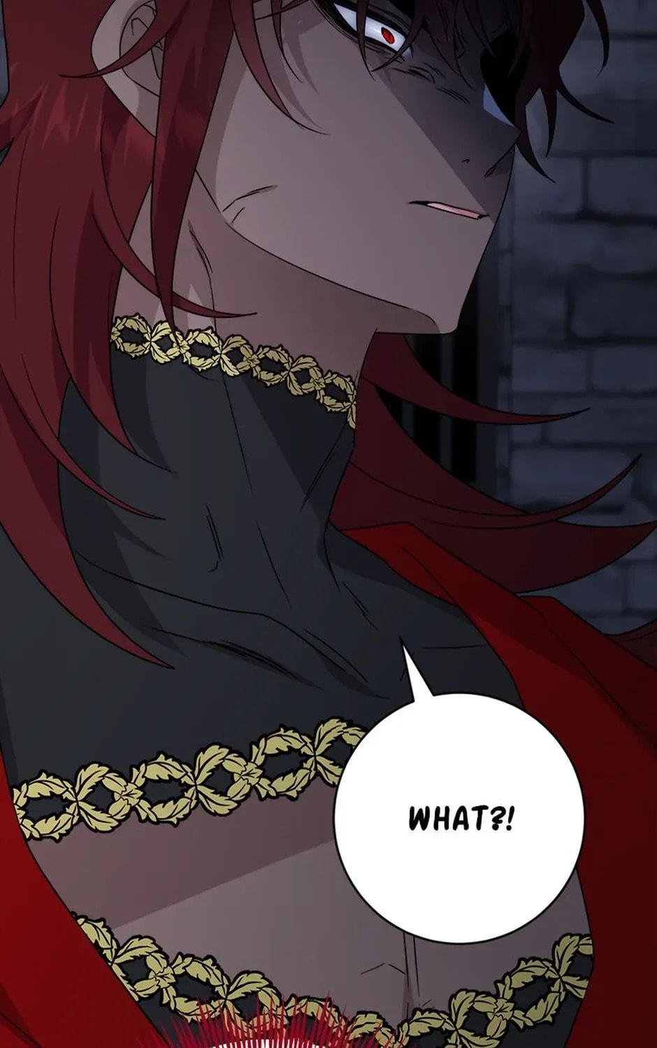 Hiding the Archduke