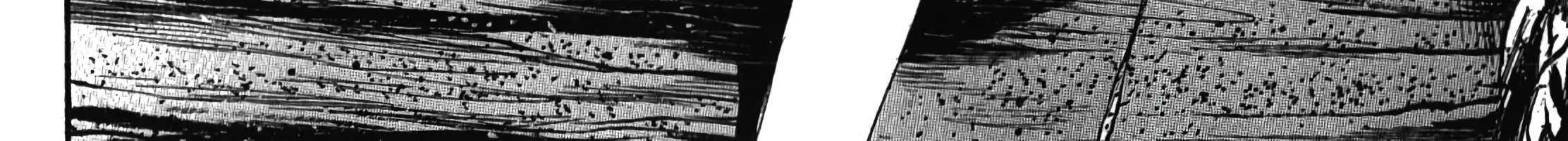 Higanjima - Last 47 Days Chapter 105 page 51 - 