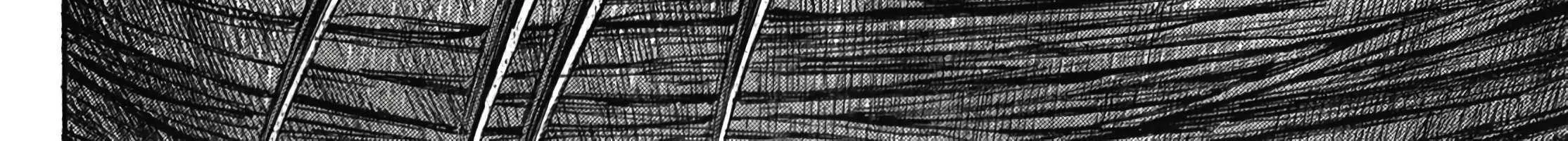 Higanjima - Last 47 Days Chapter 107 page 24 - 