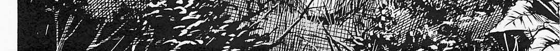 Higanjima - Last 47 Days Chapter 49 page 32 - 