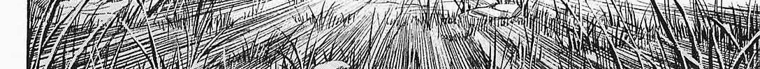 Higanjima - Last 47 Days Chapter 50 page 24 - 