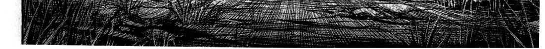 Higanjima - Last 47 Days Chapter 52 page 20 - 