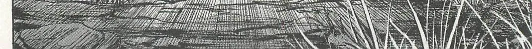 Higanjima - Last 47 Days Chapter 8 page 28 - 