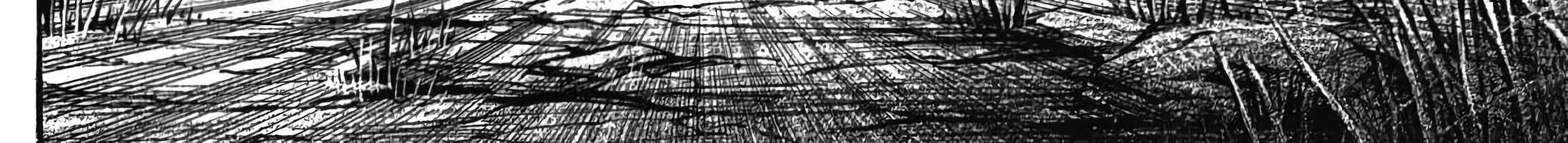 Higanjima - Last 47 Days Chapter 88 page 37 - 