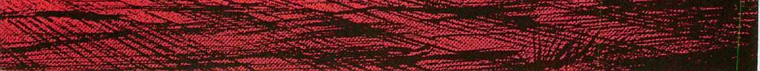 Higanjima - Last 47 Days Chapter 9 page 46 - 