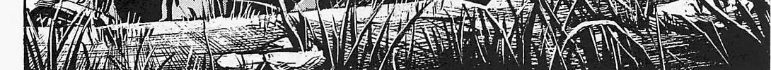 Higanjima - Saigo no 47 Hiai Chapter 49 page 20 - 