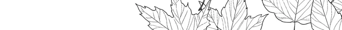 High Elf with a Long Life Chapter 22 page 57 - 