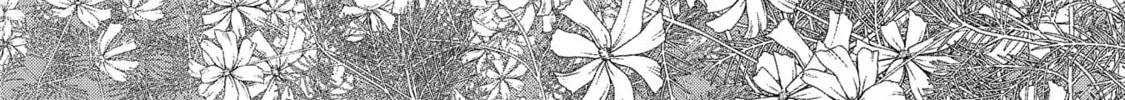 High Elf with a Long Life Chapter 3 page 33 - 