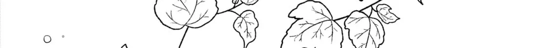 High Elf with a Long Life Chapter 35 page 37 - 