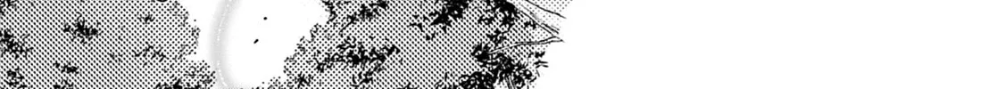 High Elf with a Long Life Chapter 38 page 55 - 
