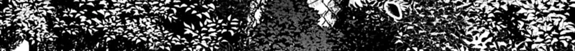 High Elf with a Long Life Chapter 44 page 33 - 