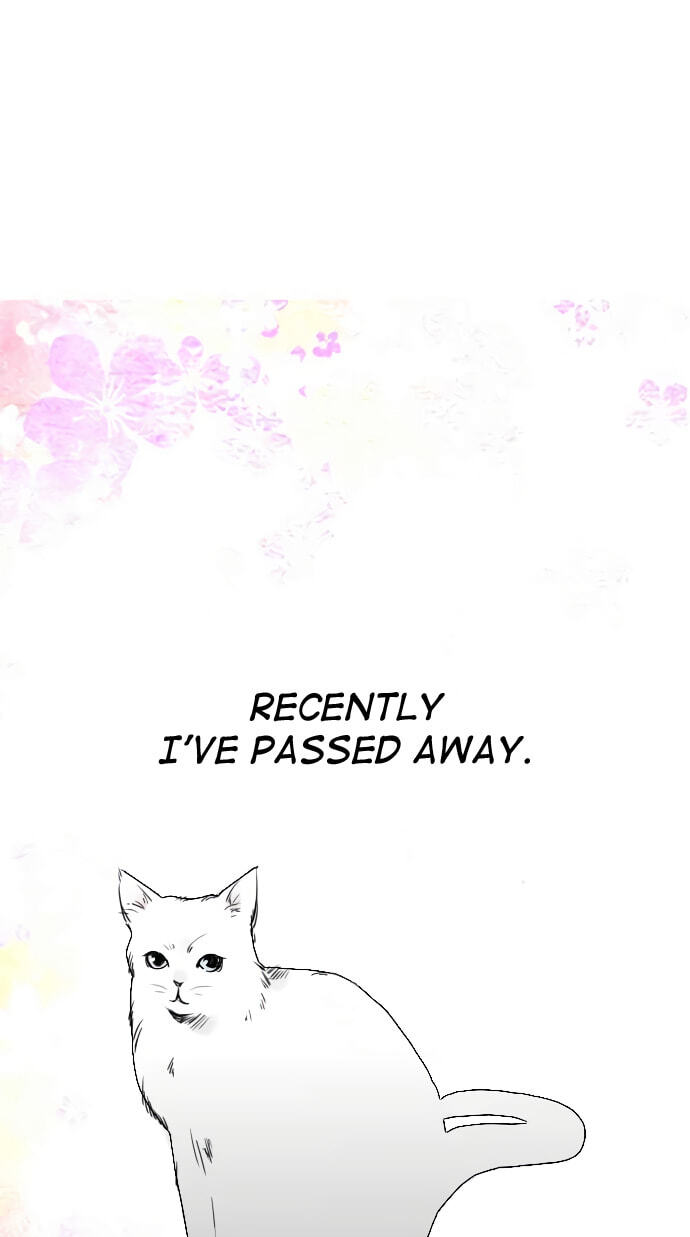 Hikari no Iroha (Pre-serialization) Chapter 20 page 1 - 