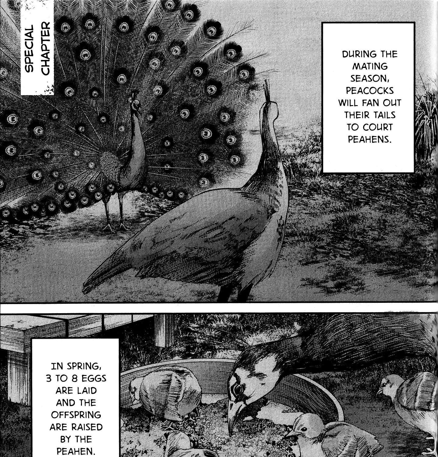 Hikaru ga Shinda Natsu Chapter 11.7 page 4 - 