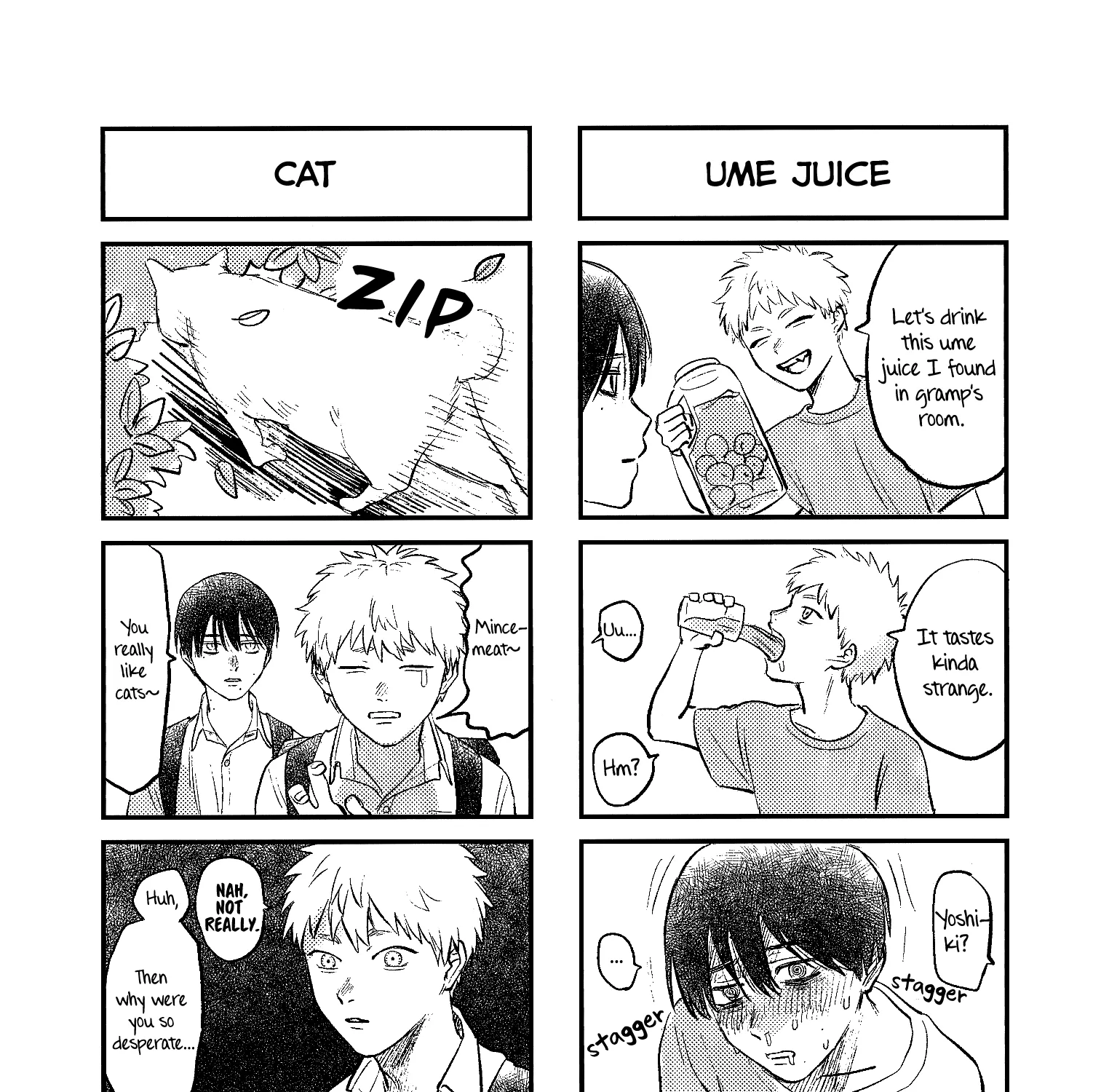 Hikaru ga Shinda Natsu Chapter 11.8 page 13 - 
