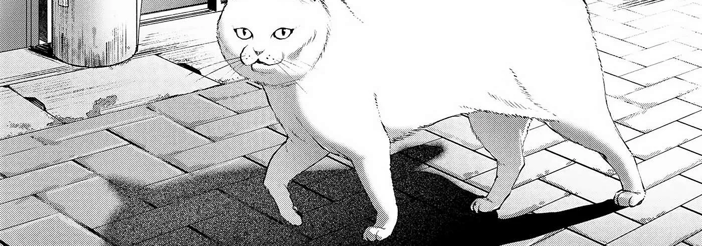 Hikaru ga Shinda Natsu Chapter 2 page 13 - 